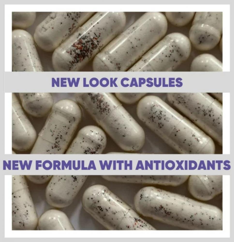 Cura Nutrition Cura Sporebiotics 90's by Cura Nutrition