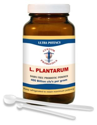 L. Plantarum Powder 50g - Custom Probiotics *SOI* by Custom Probiotics