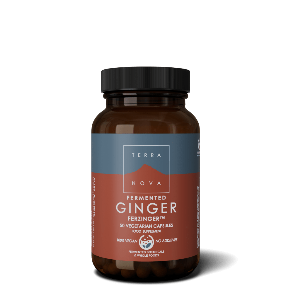 Terranova Fermented Ginger FERZINGER 50's by Terranova