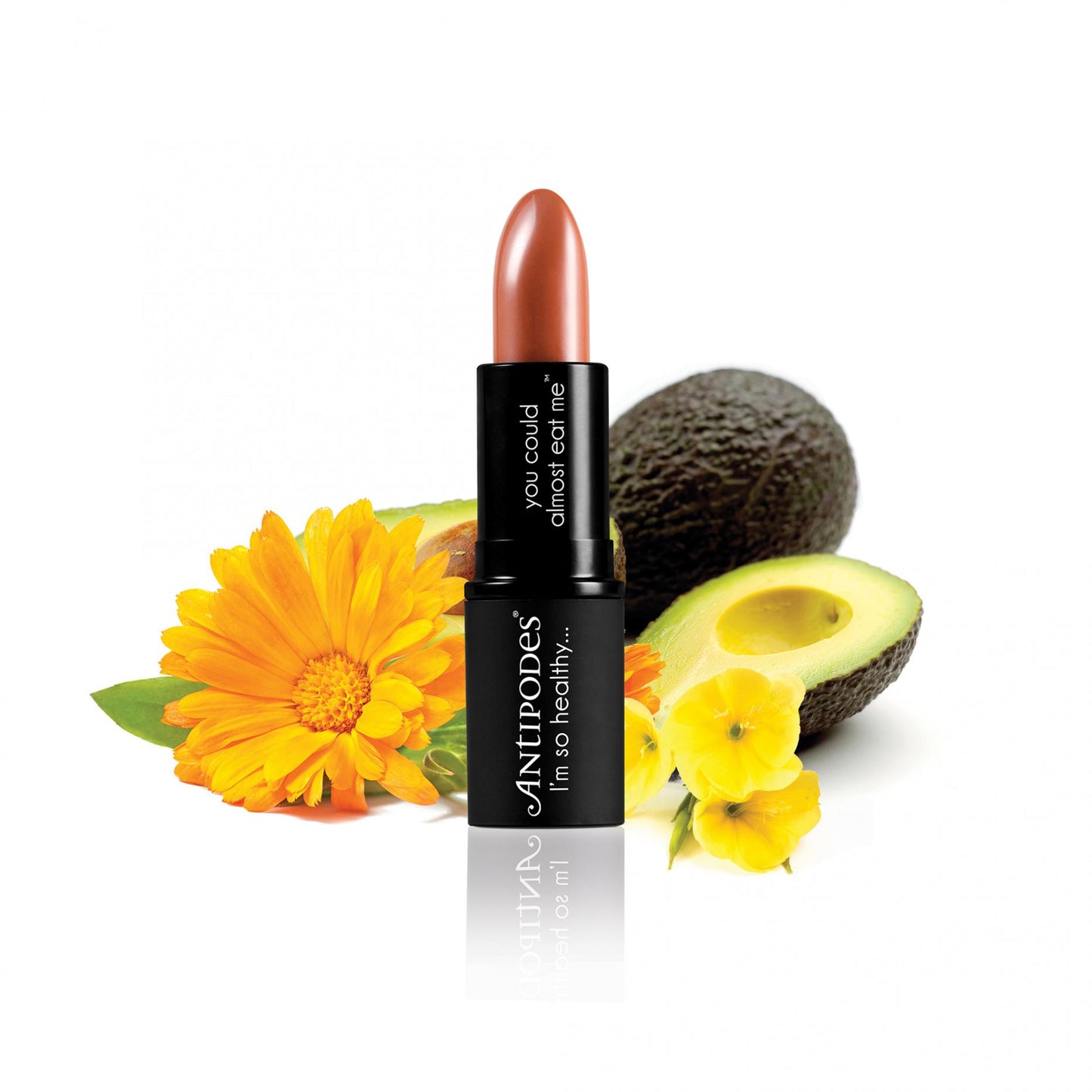 Queenstown Hot Chocolate Lipstick 4g by Antipodes