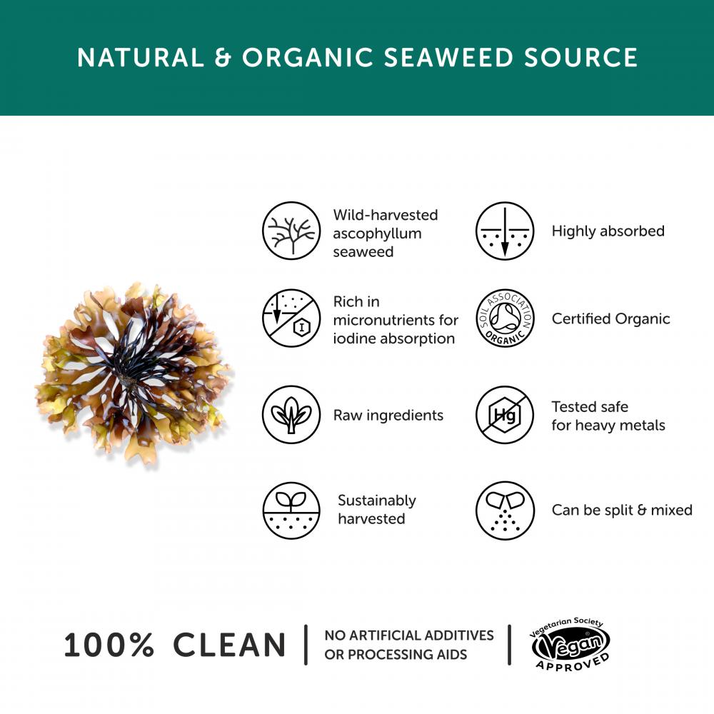 Together Health  Organic Iodine From Wild Seaweed 30's