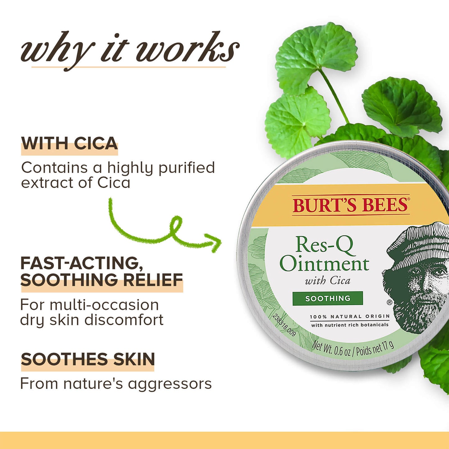 Burts Bees  Res-Q Ointment 17g