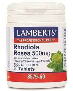 Rhodiola Rosea 500mg, 60 Tabs - Lamberts by Lamberts