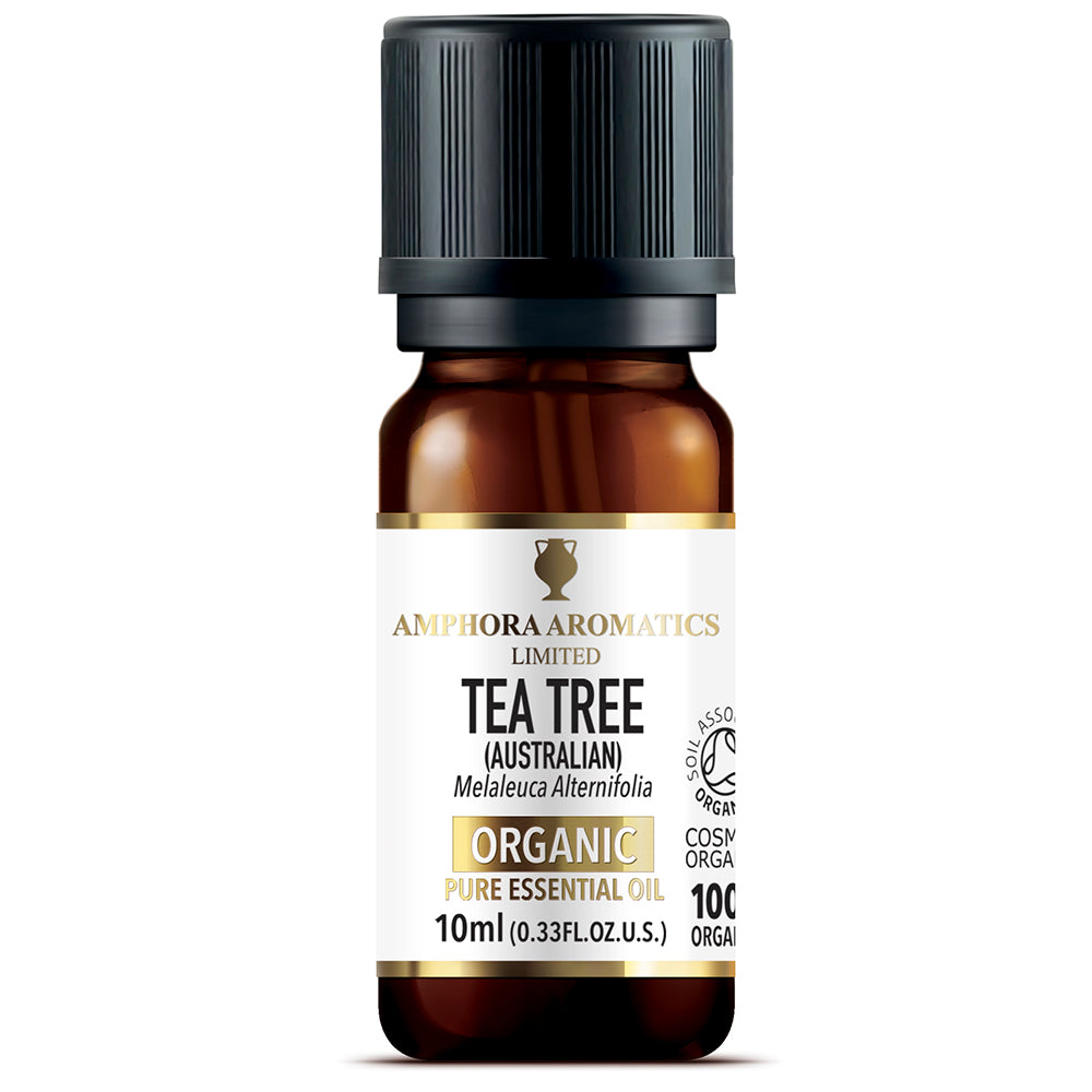 Amphora Aromatics  Tea Tree Organic Pure Essential Oil 10ml