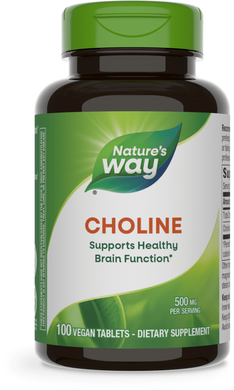 Choline 500 mg, 100 Vegan Tablets Natures Way by Nature's Way