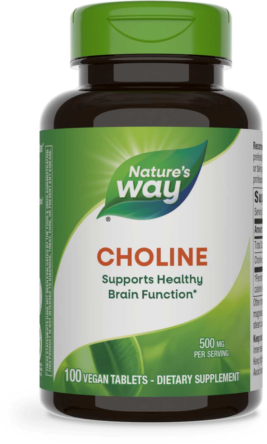Choline 500 mg, 100 Vegan Tablets Natures Way by Nature's Way