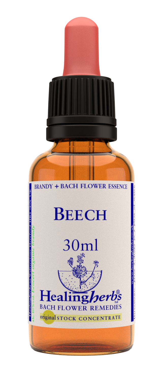 Healing Herbs Ltd  Beech 30ml