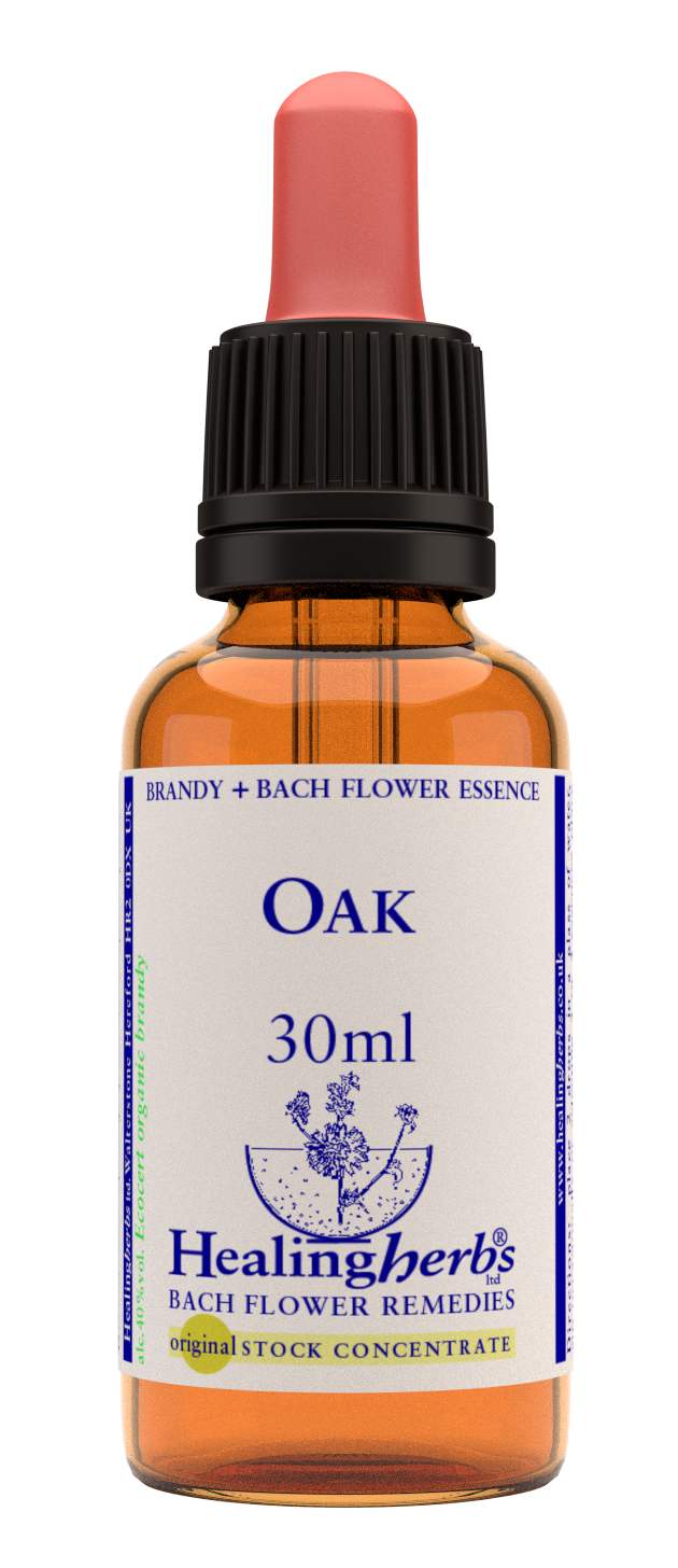 Healing Herbs Ltd  Oak 30ml