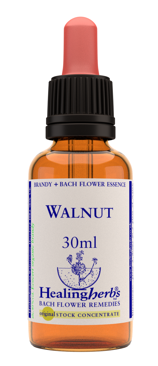 Healing Herbs Ltd  Walnut 30ml