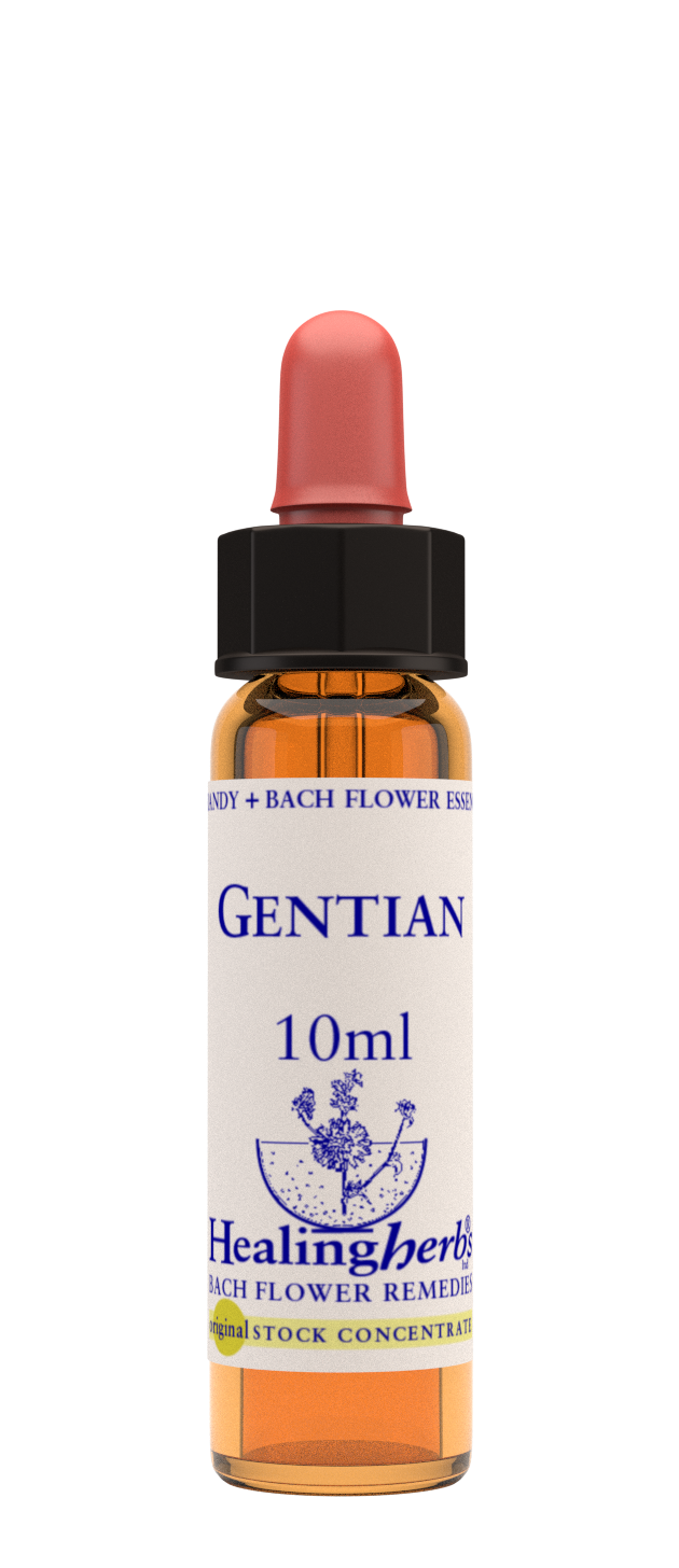 Healing Herbs Ltd  Gentian 10ml