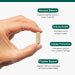 Saw Palmetto + Stinging Nettle Complex (Formerly Prostate Phytonutrition) 60 Caps - Metagenics by Metagenics