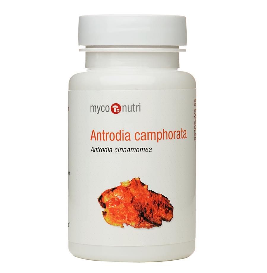 MycoNutri  Antrodia Camphorata 60's