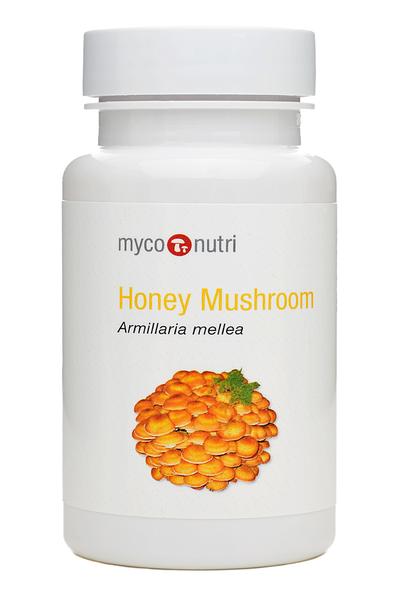 MycoNutri  Honey Mushroom 60's