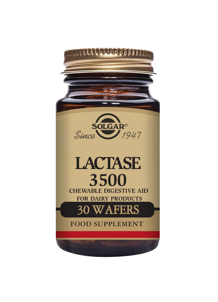 Solgar Lactase 3500 Wafers 30's by Solgar