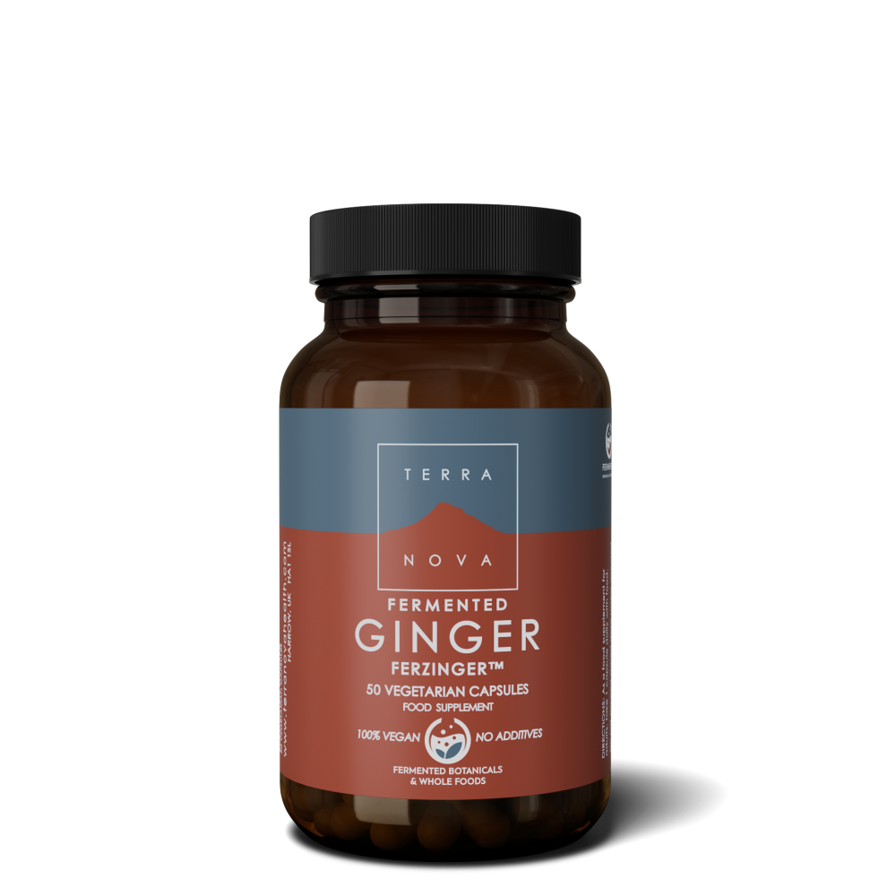 Terranova  Fermented Ginger FERZINGER 50's