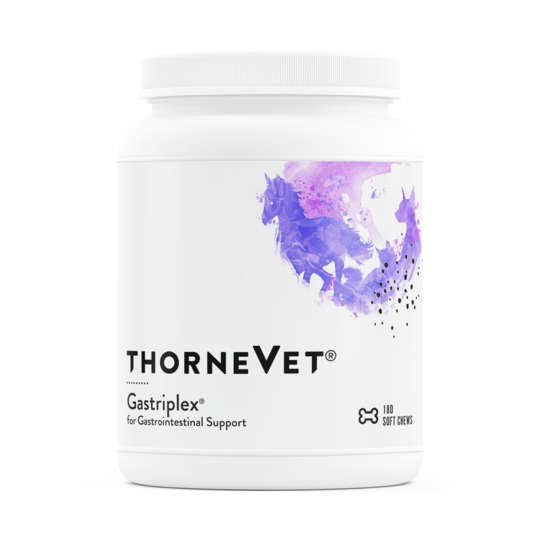 Thorne Vet  Gastriplex, Gastrointestinal Support, 180 Soft chews